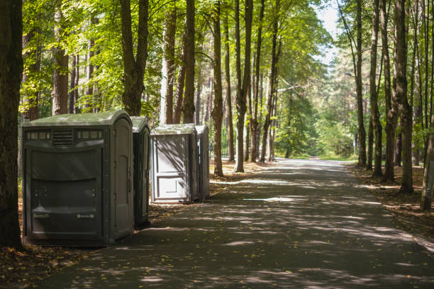 Affordable portable toilet rental in Sturgeon, MO